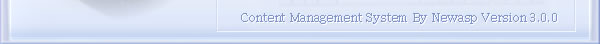 Newasp CMS